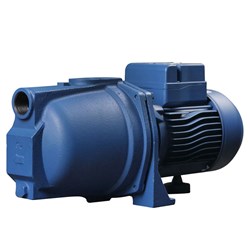 REEFE RSWE60 Shallow Well Jet Pump 66L/m