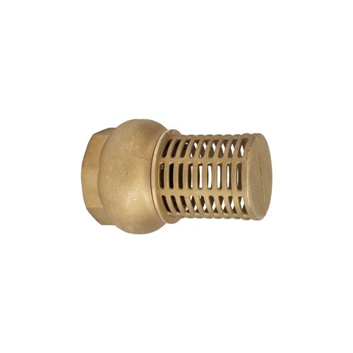 BR FOOT VALVE - BSP FEMALE
