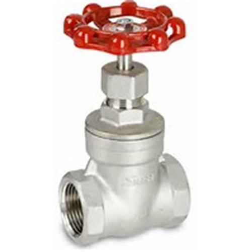 SS GATE VALVE - BSP FEM 2
